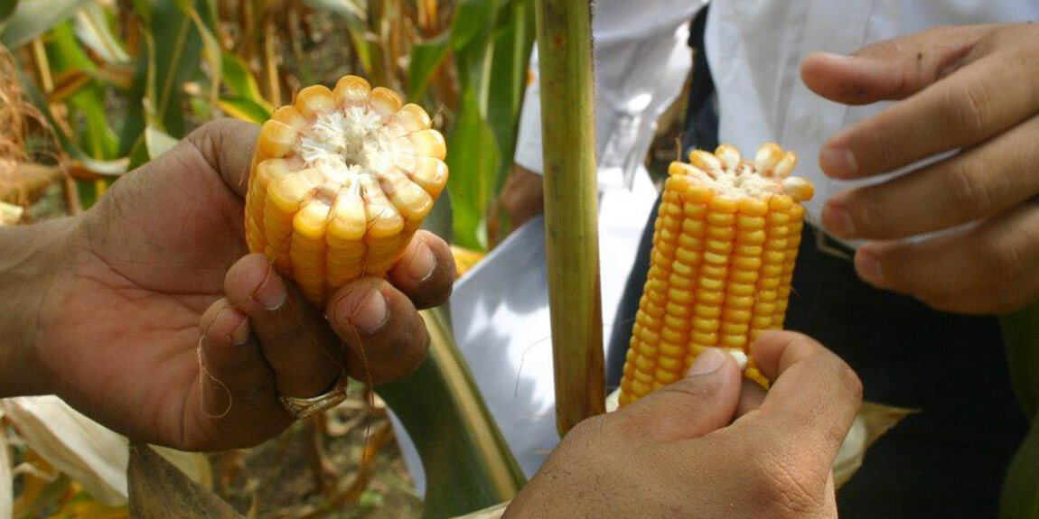 Nos renovamos pensando en tu comodidad
