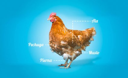 !Cada parte del pollo le aporta algo a tu cuerpo!