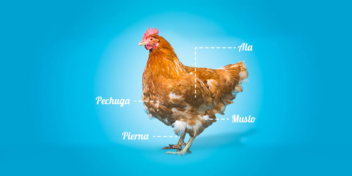 !Cada parte del pollo le aporta algo a tu cuerpo!