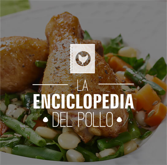 Mr. Pollo - Enciclopedia del pollo Mr. Pollo - Enciclopedia del pollo
