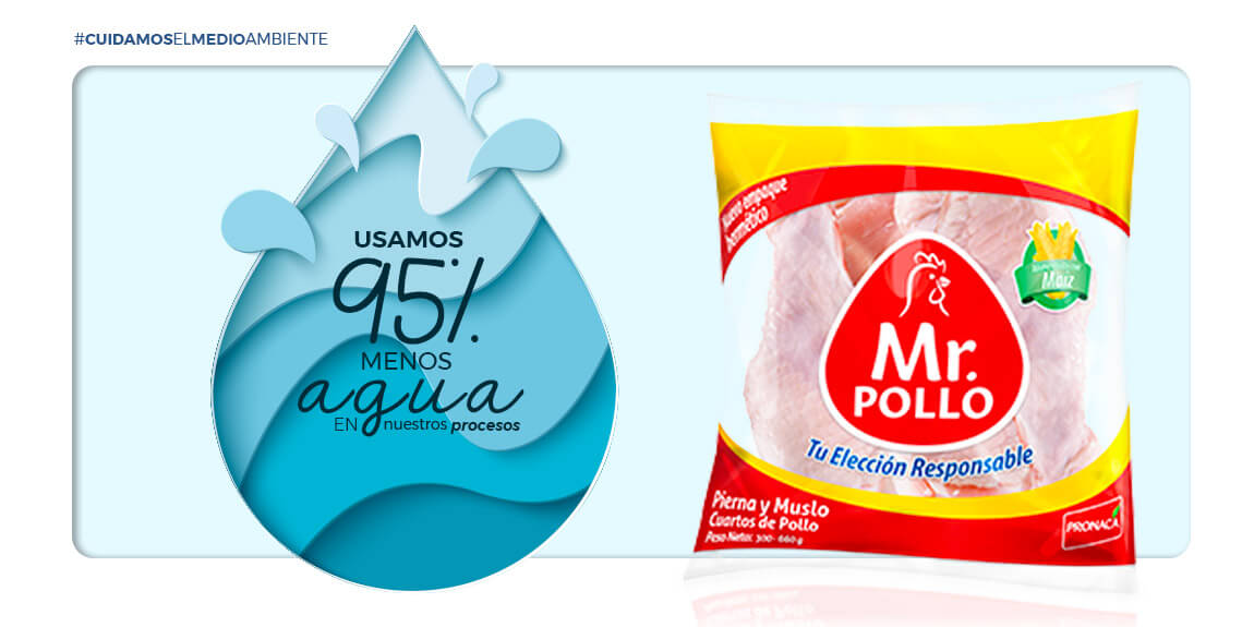 Mr. Pollo siempre un paso adelante