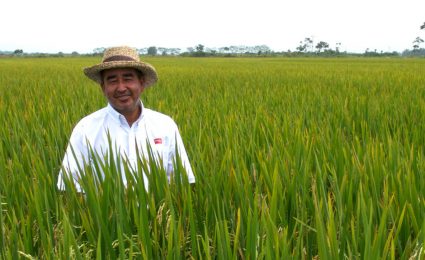 Sostenibilidad – Cadena de Valor Sostenibilidad – Cadena de Valor