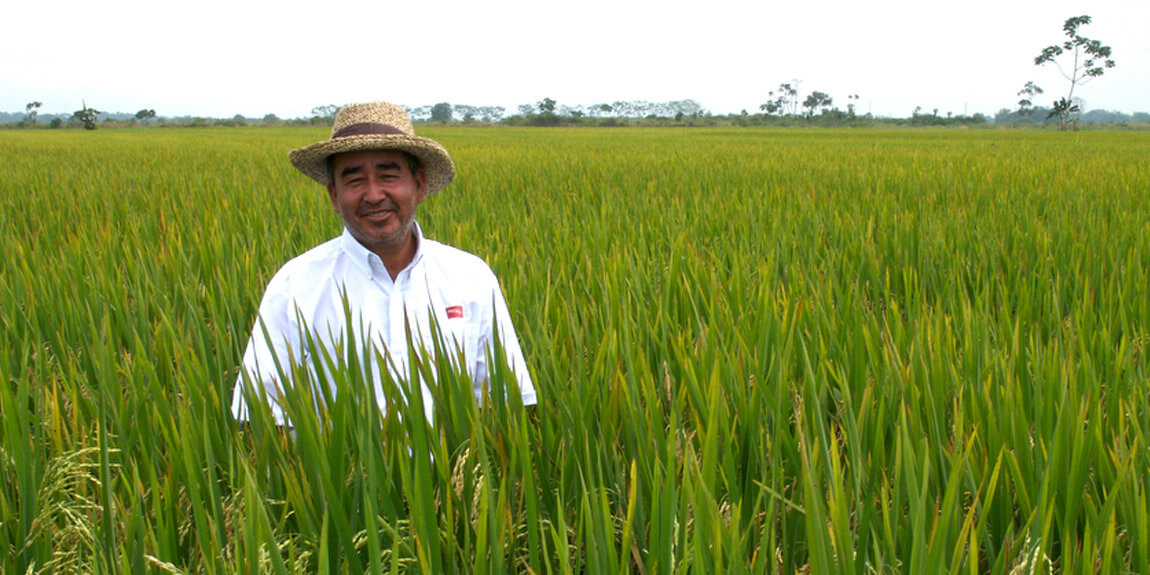 Sostenibilidad - Cadena de Valor