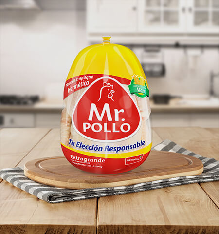 Mr. Pollo - Nuestra esencia portafolio